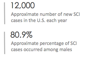 SCI Statistics